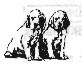 puppies.jpg (7564 bytes)